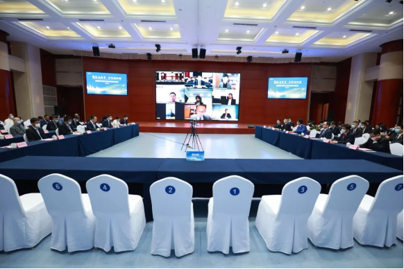 1685157328701993.jpg 8.jpg